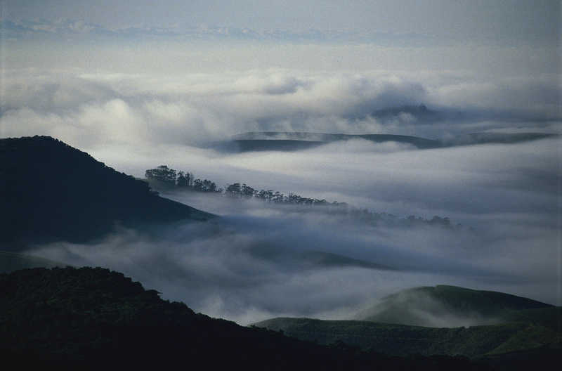 Туман обнял горы горы  туман