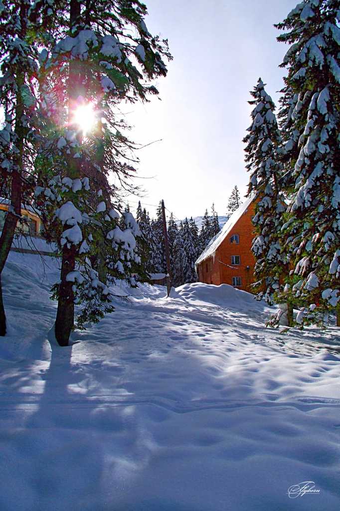 Сказочный дом горы пейзаж Карпаты лыжи сноуборд горнолыжный