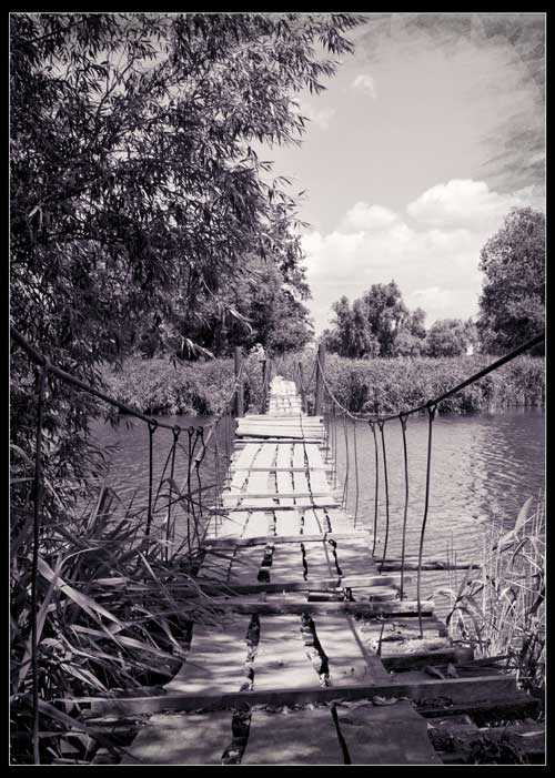 Путь к природе... мост
