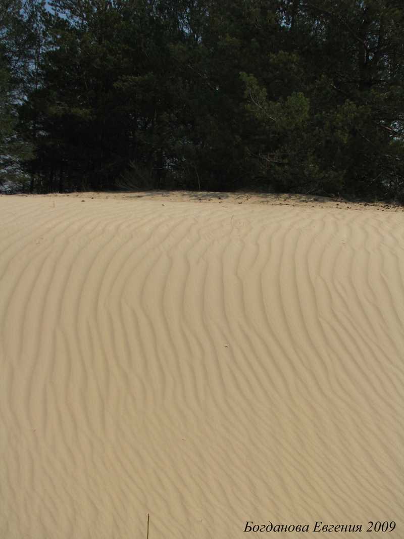 Херсонские пески пески
