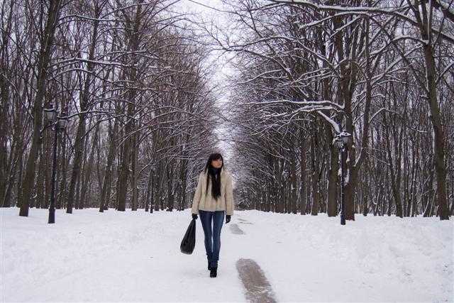 Зимняя прогулка зима  прогулка 